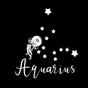 Aquarius White Vinyl Sticker
